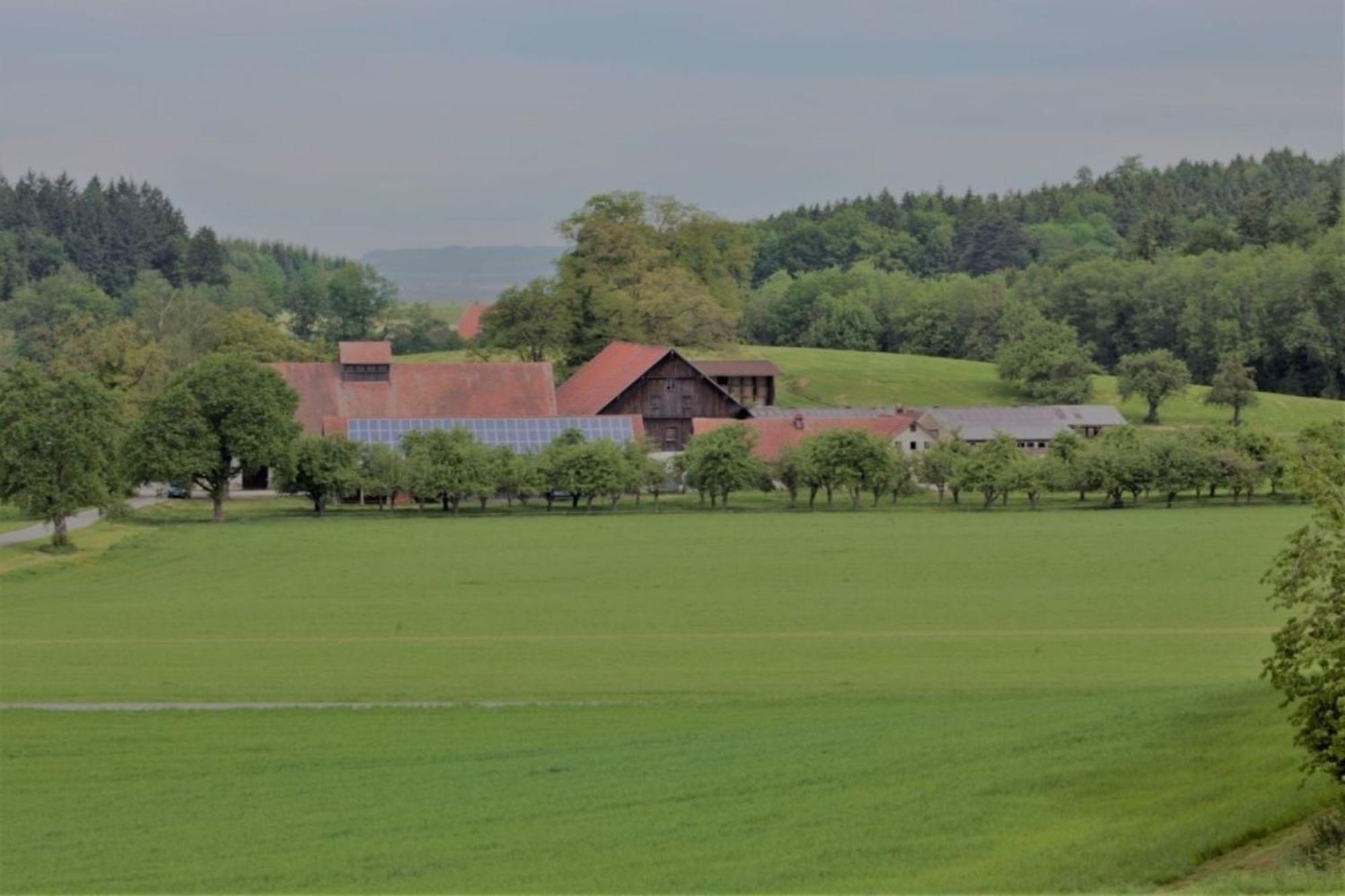 Roesslerhof Ferienwohnung Roesslerweiher Schlier Exterior foto