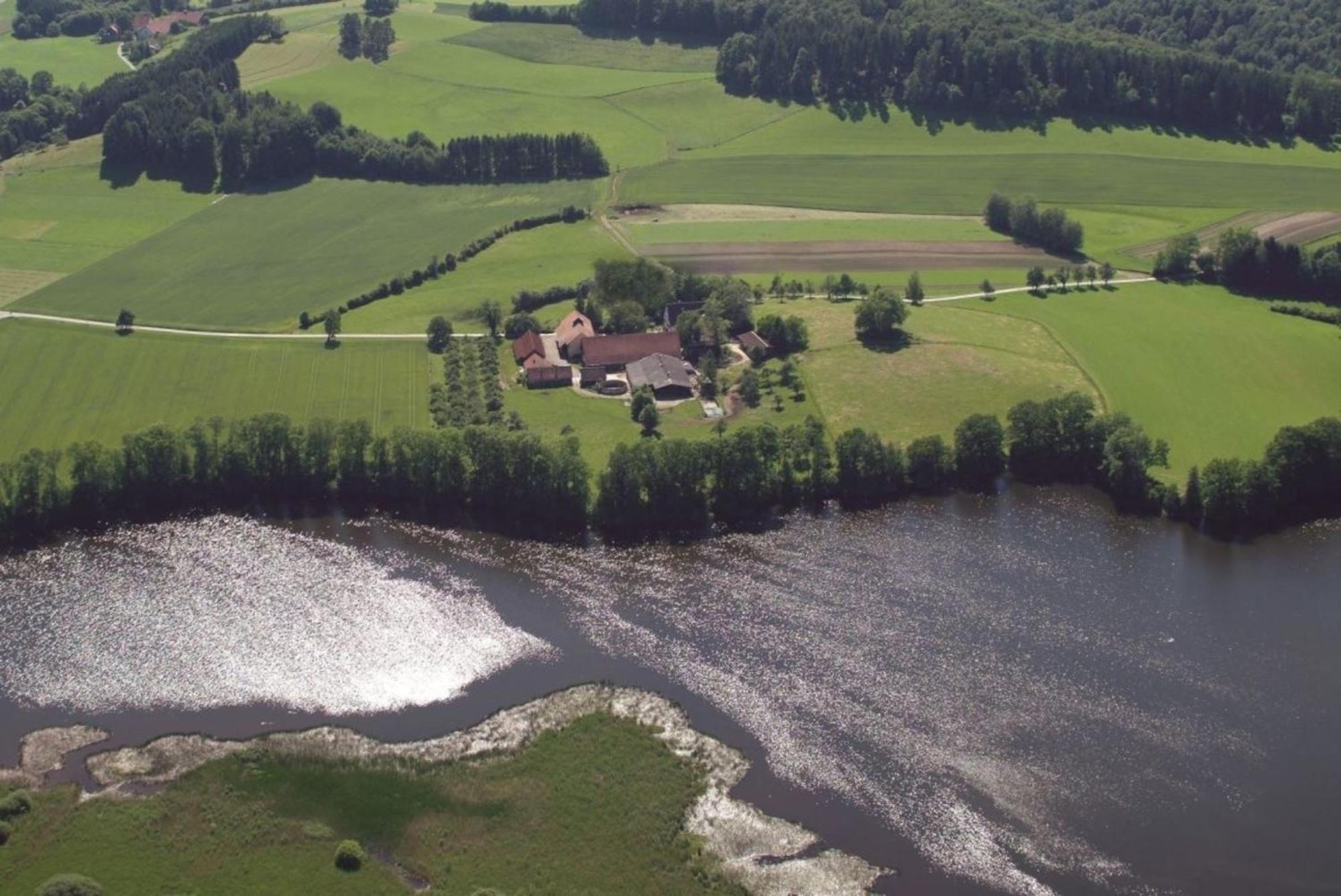 Roesslerhof Ferienwohnung Roesslerweiher Schlier Exterior foto